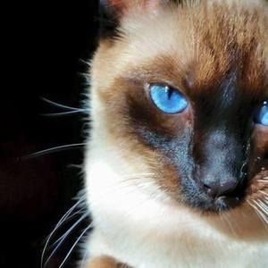 Meet your Posher, Dee